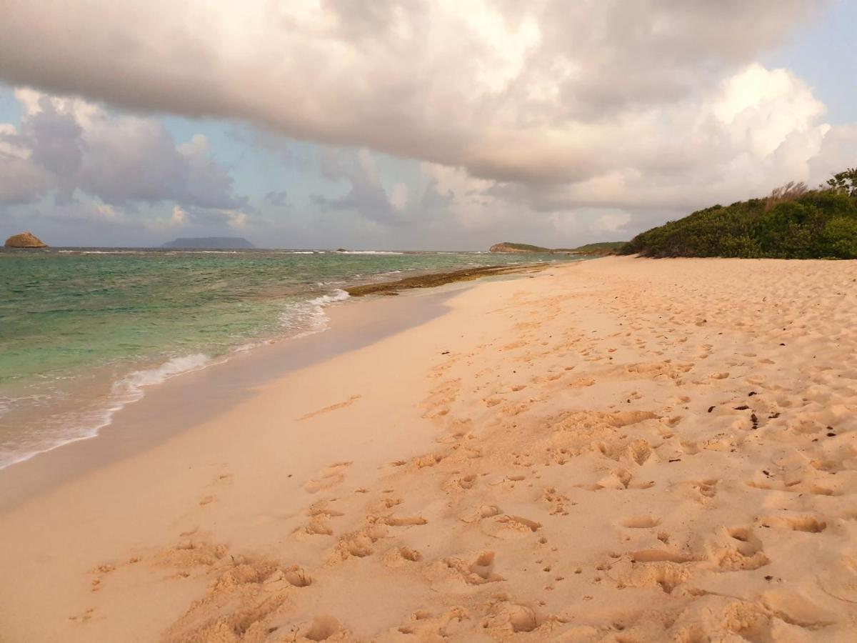 Villa Guadeloupe Saint Francois Acces Mer Piscine Iguana Bay - Villa Zagadi Экстерьер фото