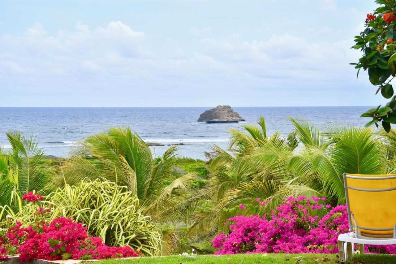 Villa Guadeloupe Saint Francois Acces Mer Piscine Iguana Bay - Villa Zagadi Экстерьер фото