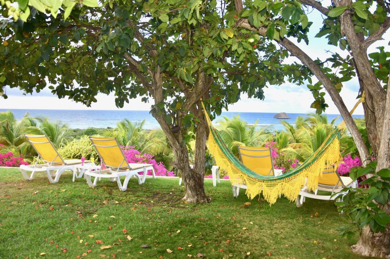 Villa Guadeloupe Saint Francois Acces Mer Piscine Iguana Bay - Villa Zagadi Экстерьер фото