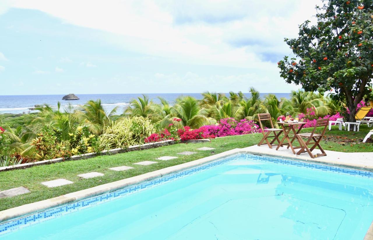 Villa Guadeloupe Saint Francois Acces Mer Piscine Iguana Bay - Villa Zagadi Экстерьер фото