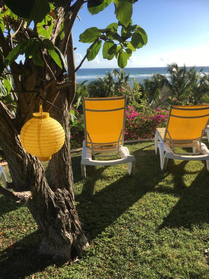 Villa Guadeloupe Saint Francois Acces Mer Piscine Iguana Bay - Villa Zagadi Экстерьер фото