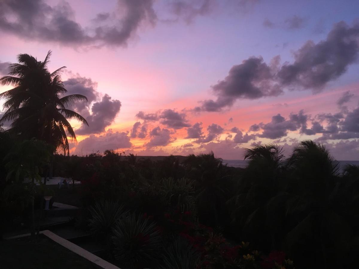 Villa Guadeloupe Saint Francois Acces Mer Piscine Iguana Bay - Villa Zagadi Экстерьер фото